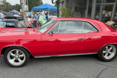 CCS65