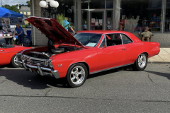 CCS83