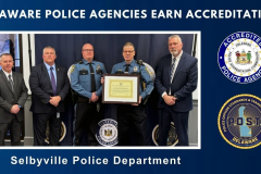 Green Modern and Elegant Fashion Super Sale Promotion Facebook Post - 3